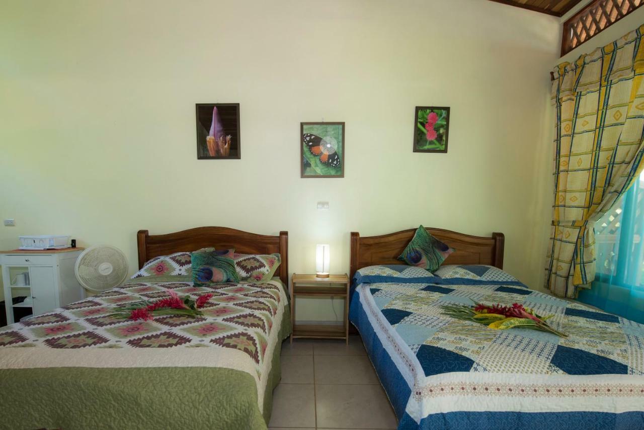 Hotel Sunshine Caribe Puerto Viejo de Talamanca Bagian luar foto